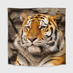 Скатерть для стола Мудрый тигр, цвет: 3D-принт