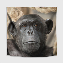 Скатерть для стола Глаза гориллы, цвет: 3D-принт