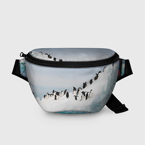 Поясная сумка Пингвины на айсберге / 3D-принт – фото 1