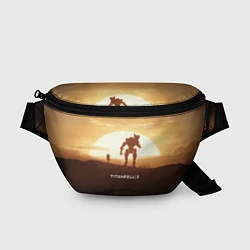Поясная сумка Titanfall 2: Sunrise, цвет: 3D-принт
