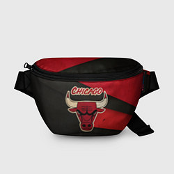 Поясная сумка Chicago Bulls: Old Style