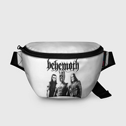 Поясная сумка Behemoth Group