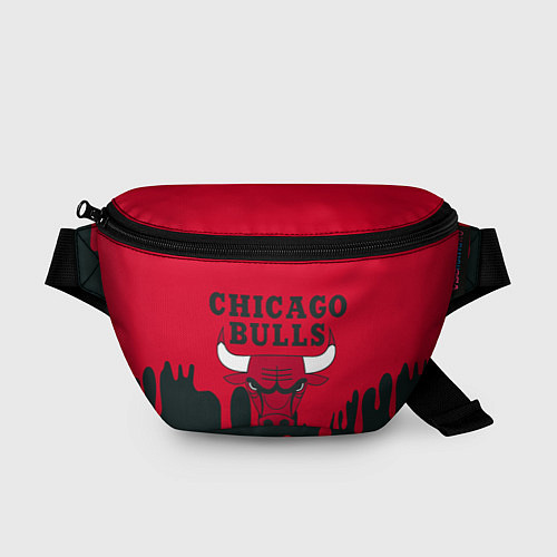 Поясная сумка Chicago Bulls / 3D-принт – фото 1