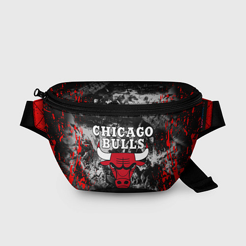 Поясная сумка CHICAGO BULLS / 3D-принт – фото 1