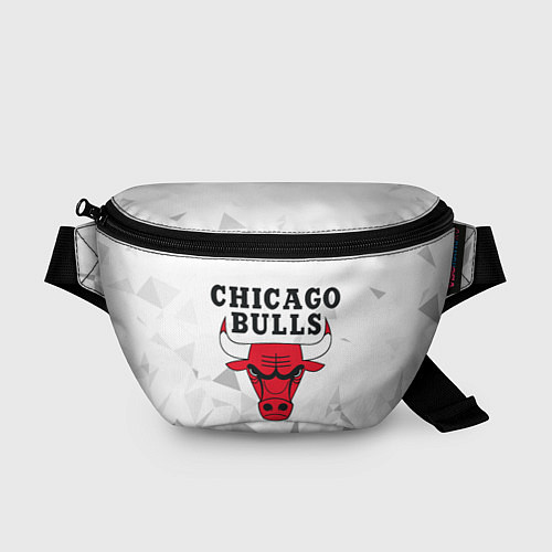 Поясная сумка CHICAGO BULLS / 3D-принт – фото 1