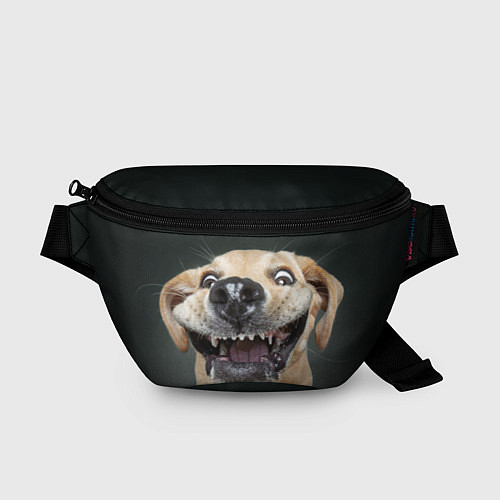 Поясная сумка Улыбающаяся Собака / 3D-принт – фото 1