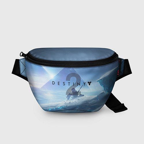 Поясная сумка Destiny 2: Beyond Light / 3D-принт – фото 1