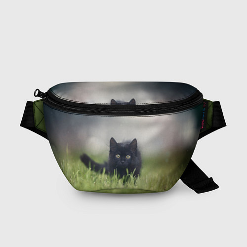 Поясная сумка Черный кот на лугу / 3D-принт – фото 1