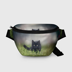 Поясная сумка Черный кот на лугу, цвет: 3D-принт
