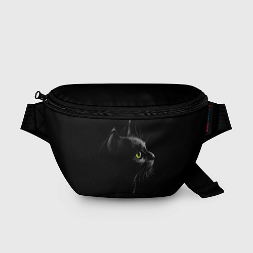 Поясная сумка Черный кот на черном фоне / 3D-принт – фото 1