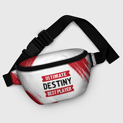 Поясная сумка Destiny: Best Player Ultimate, цвет: 3D-принт — фото 2