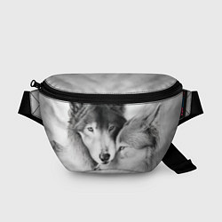 Поясная сумка Love: Волк и волчица, цвет: 3D-принт