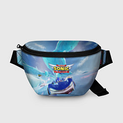 Поясная сумка Team Sonic racing - hedgehog - speed, цвет: 3D-принт