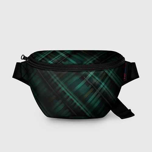 Поясная сумка Тёмно-зелёная шотландская клетка / 3D-принт – фото 1