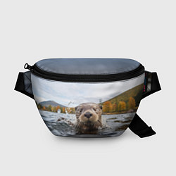Поясная сумка Выдра смотрит из воды