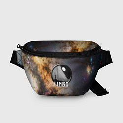 Поясная сумка Limbo space roglike