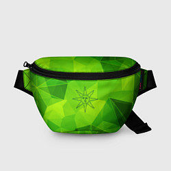 Поясная сумка Dark Souls green poly, цвет: 3D-принт