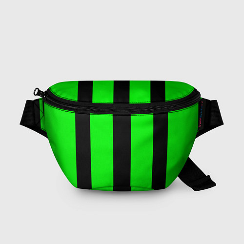 Поясная сумка Color green black line / 3D-принт – фото 1