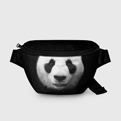 Поясная сумка Взгляд панды