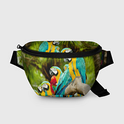Поясная сумка Попугаи на ветке, цвет: 3D-принт