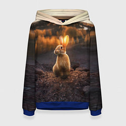 Женская толстовка Солнечный зайчик