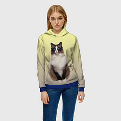 Толстовка-худи женская Персидская пушистая кошка, цвет: 3D-синий — фото 2