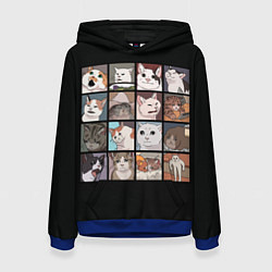 Толстовка-худи женская Коты и кошки, цвет: 3D-синий