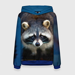 Женская толстовка Застенчивый енот