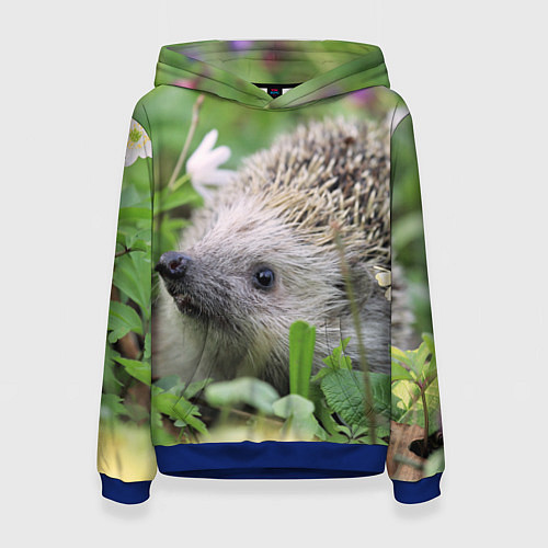Женская толстовка Лесной ёжик в траве / 3D-Синий – фото 1