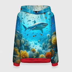 Толстовка-худи женская Белая акула в коралловом рифе, цвет: 3D-красный
