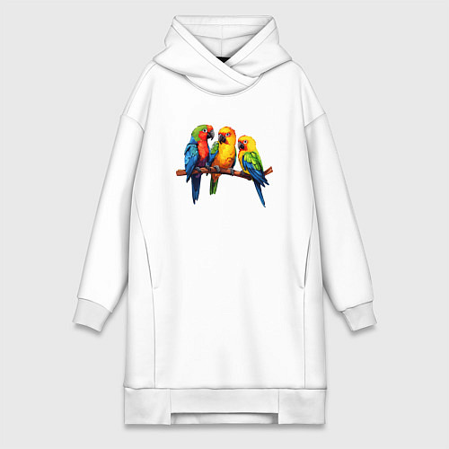 Женская толстовка-платье Разговор попугаев / Белый – фото 1