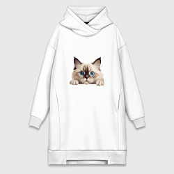 Женское худи-платье Ragdoll cat, цвет: белый