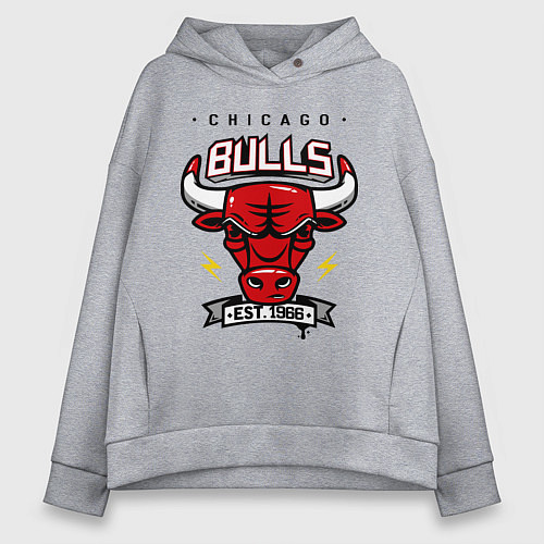 Женское худи оверсайз Chicago Bulls est. 1966 / Меланж – фото 1