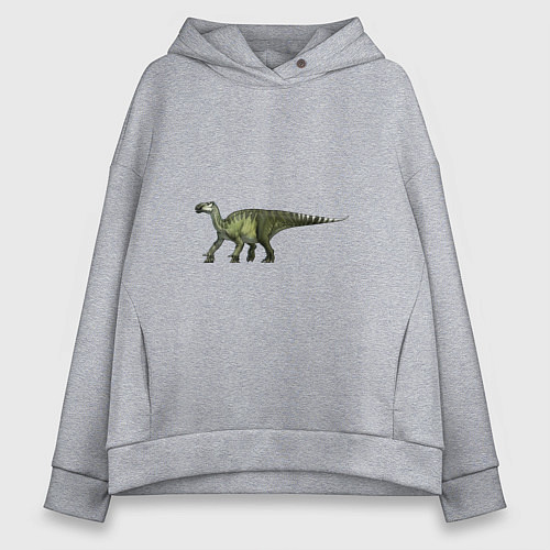 Женское худи оверсайз Игуанодон / Меланж – фото 1