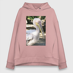 Толстовка оверсайз женская Пеликан в природе, цвет: пыльно-розовый