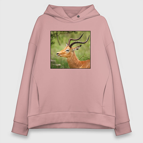 Женское худи оверсайз Газель антилопа среди деревьев / Пыльно-розовый – фото 1