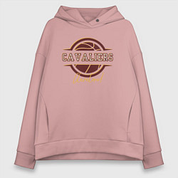 Толстовка оверсайз женская Cleveland Cavaliers ball, цвет: пыльно-розовый