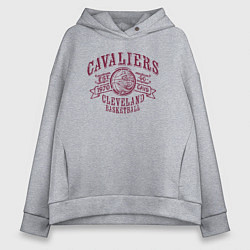 Толстовка оверсайз женская Cavaliers basket, цвет: меланж