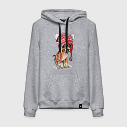 Толстовка-худи хлопковая женская Чихуахуа в шапочке, цвет: меланж