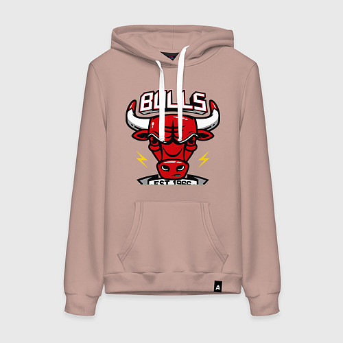 Женская толстовка-худи Chicago Bulls est. 1966 / Пыльно-розовый – фото 1