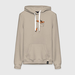Толстовка-худи хлопковая женская Красные панды в кармане, цвет: миндальный