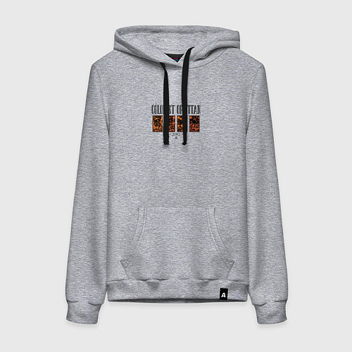 Женская толстовка-худи Colonist of Titan / Меланж – фото 1