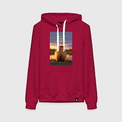 Толстовка-худи хлопковая женская Капибара на берегу реки: страх это не повод не дел, цвет: маджента