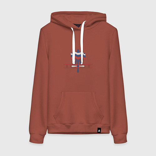 Женская толстовка-худи Ретро самолет кукурузник и флаг подарок пилоту ден / Кирпичный – фото 1