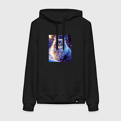 Толстовка-худи хлопковая женская Кот в снегу, цвет: черный