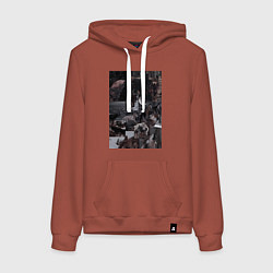 Толстовка-худи хлопковая женская Волки коллаж, цвет: кирпичный