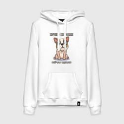 Женская толстовка-худи Собака, мем, ничего не понял