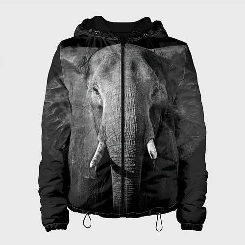 Женская куртка Взгляд слона / 3D-Черный – фото 1