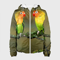 Куртка с капюшоном женская Два попугая, цвет: 3D-белый