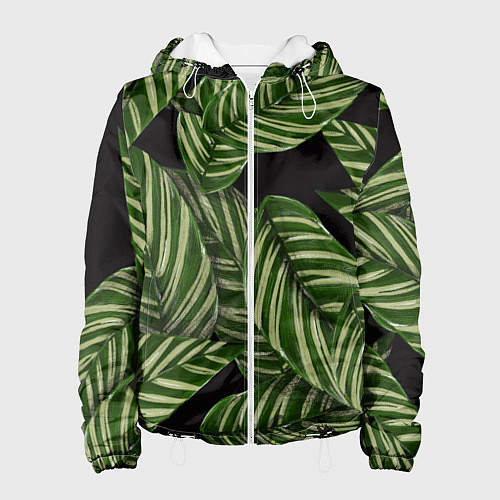 Женская куртка Тропические большие листья / 3D-Белый – фото 1